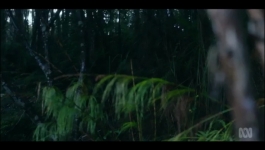 Bay of Fires -Season 01 Episode 04